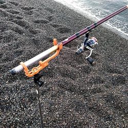 久しぶりのアオリイカでした!!