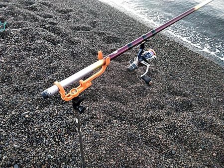 久しぶりのアオリイカでした!!