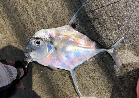 ショアジギング