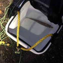 軽いノリで行ってみた