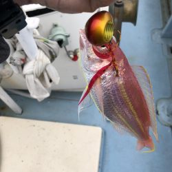 伊島沖でタイラバ