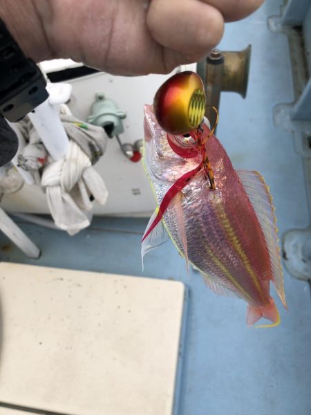 伊島沖でタイラバ