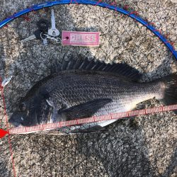 根掛かりかと思ったら走り出した!