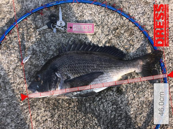 根掛かりかと思ったら走り出した!