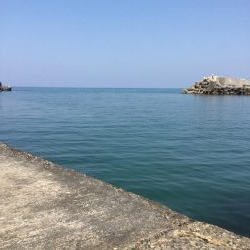 最強コノシロパターン