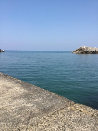 最強コノシロパターン