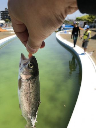 マス釣りリベンジ