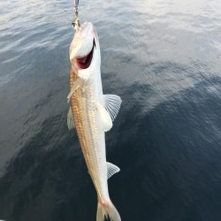 久しぶりの〇〇