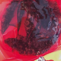 家族フィッシング