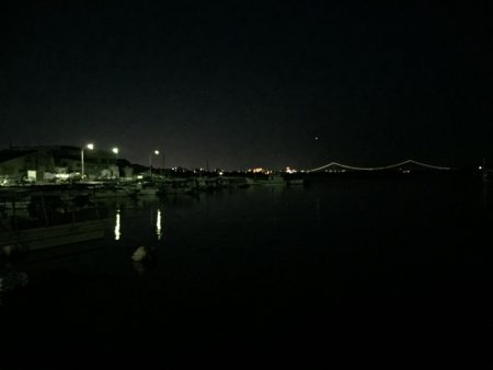 癒しのチビっ子メバル②