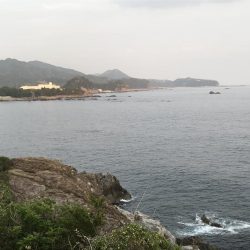 大きくないけど・・・