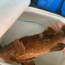 陸っぱりからの44㎝!