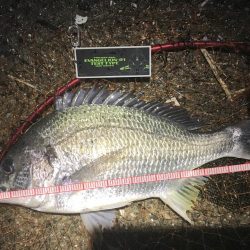 鉄板バイブを満喫