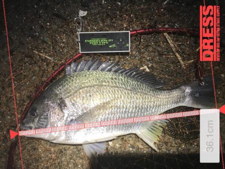 鉄板バイブを満喫