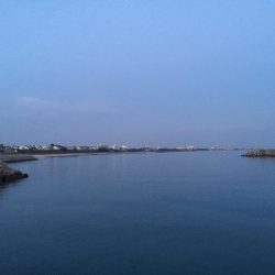 母の日 ガッシー!