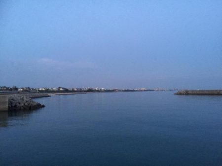 母の日 ガッシー!