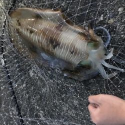 仕事終わりの釣り ２