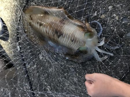 仕事終わりの釣り ２