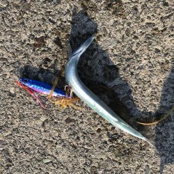 令和元年初釣行