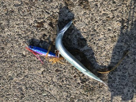 令和元年初釣行