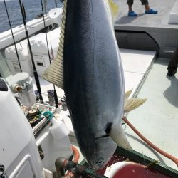 ジギング＆キャスティング