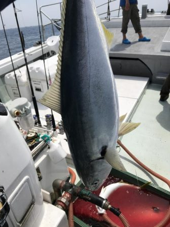 ジギング＆キャスティング