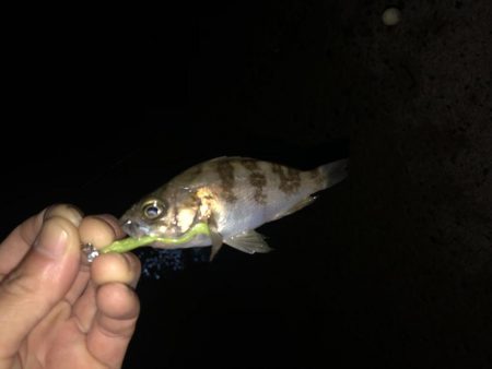 大人はどこ？？