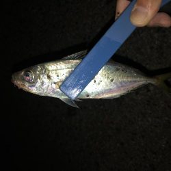 フロートアジング