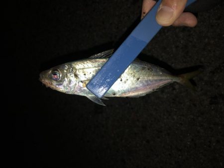 フロートアジング