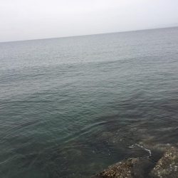 40センチ級のアジ狙いのはずが