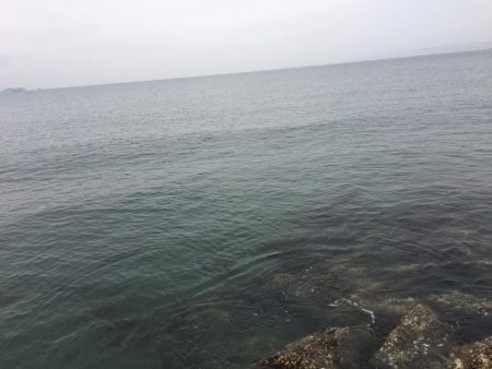 40センチ級のアジ狙いのはずが