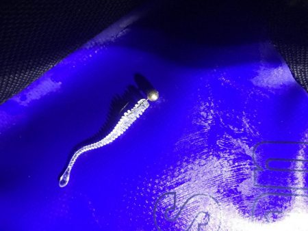 令和遠征アジング爆釣