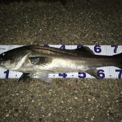 いつものとこで。