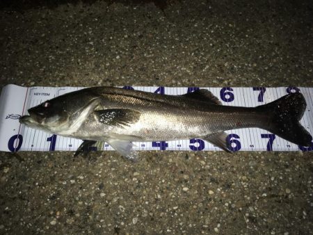 いつものとこで。