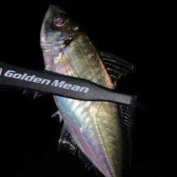 のんびりライトゲーム