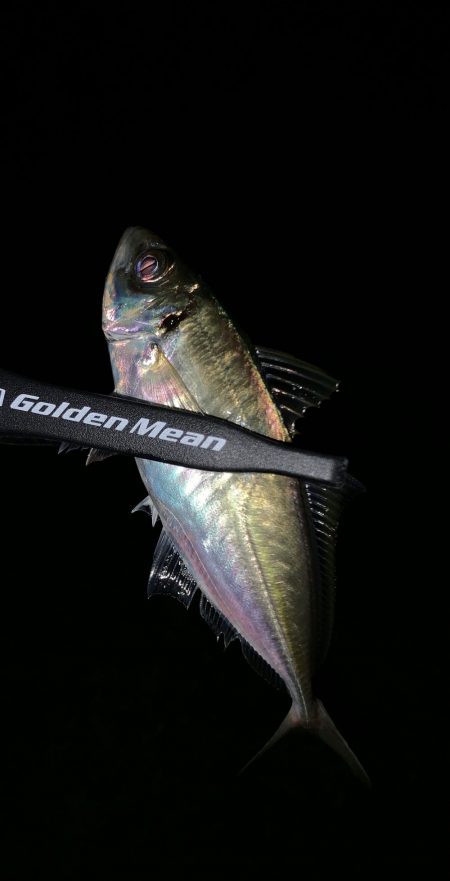 のんびりライトゲーム