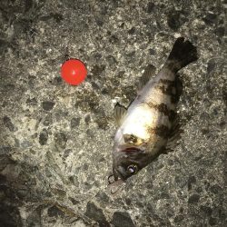 コスパ最高！スーパーボールフロート