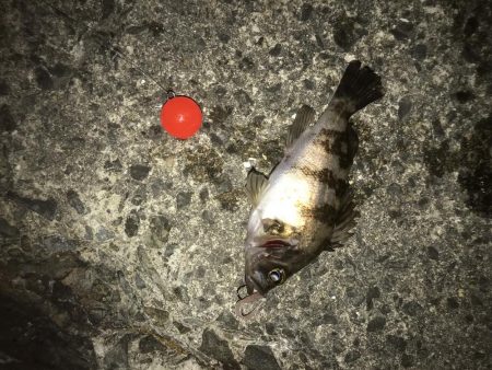 コスパ最高！スーパーボールフロート