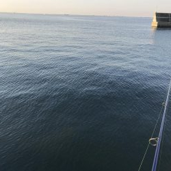 西宮ケイソンでカタクチパターン