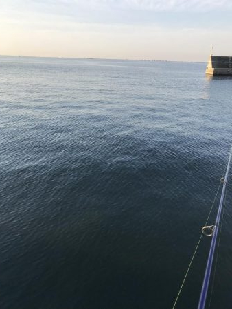 西宮ケイソンでカタクチパターン