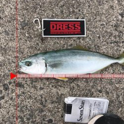 まだまだ子供。年末に期待したい。