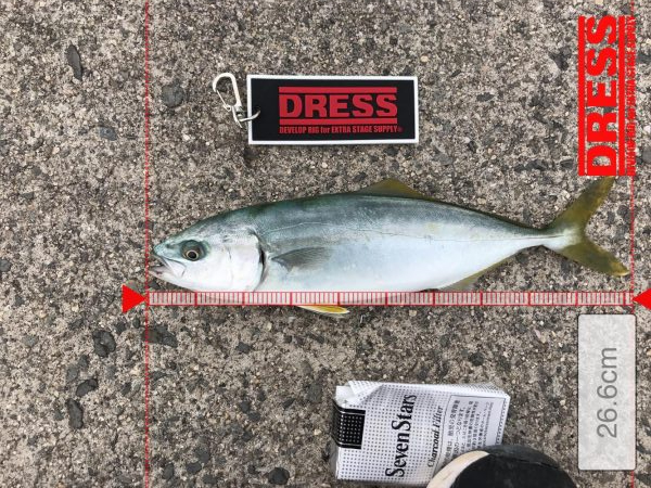 まだまだ子供。年末に期待したい。