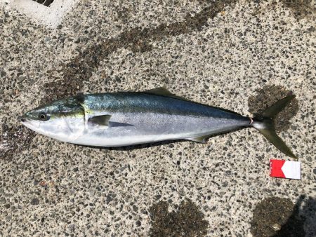 令和初めての釣行にて