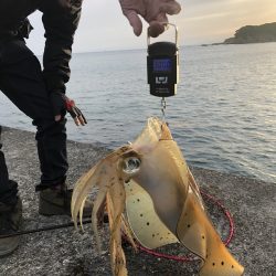 ☆念願のキロアップ!!