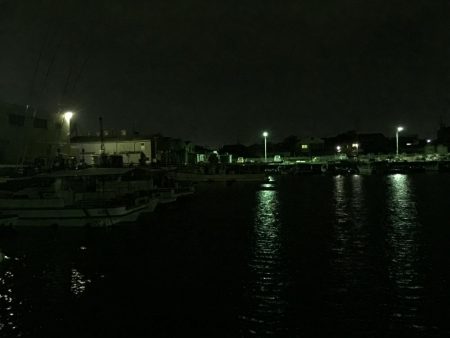 癒しのチビメバル