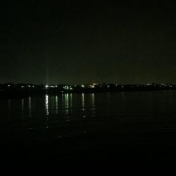 メバルが釣れた!