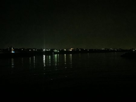 メバルが釣れた!