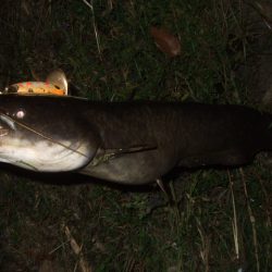 なかなか絞れません