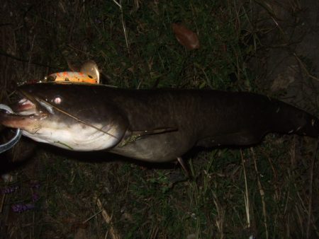 なかなか絞れません