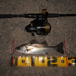 バチパターンでヒット